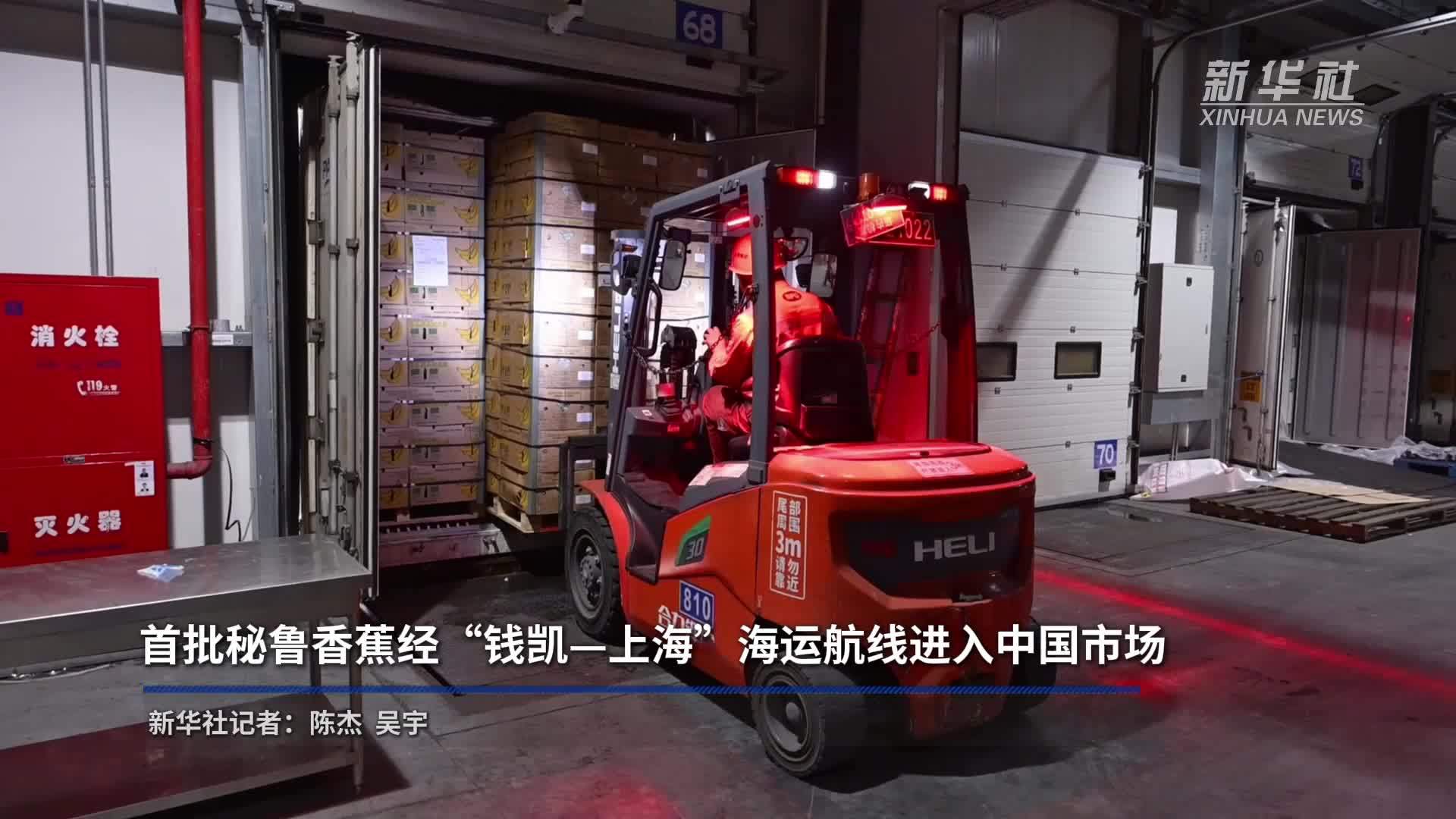 首批秘鲁香蕉经“钱凯—上海”海运航线进入中国市场