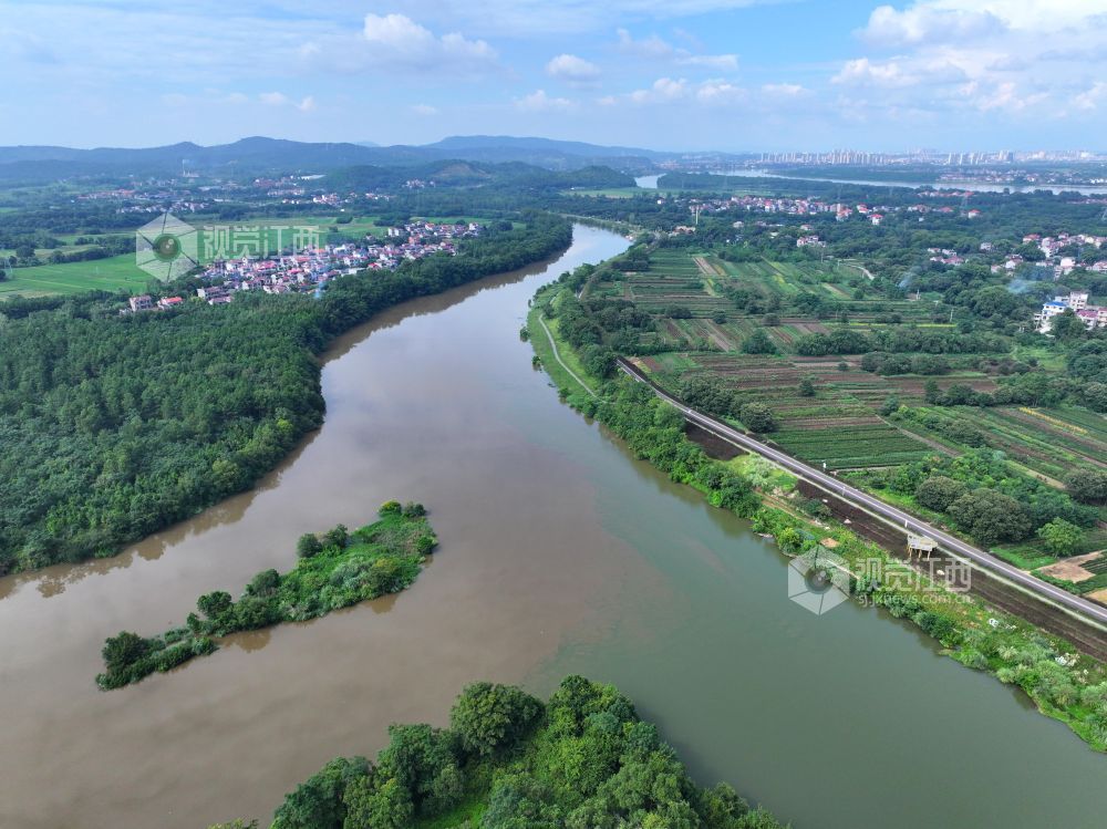 2026年8月27日,江西省吉安市泰和县马市镇蜀口村,蜀水河与赣江在此交汇,一清一浊,泾渭分明,景美如画。