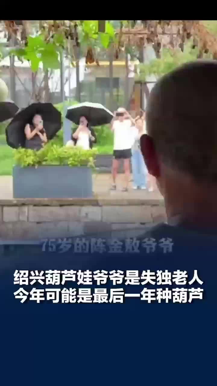 葫芦娃爷爷今年可能最后一年种葫芦