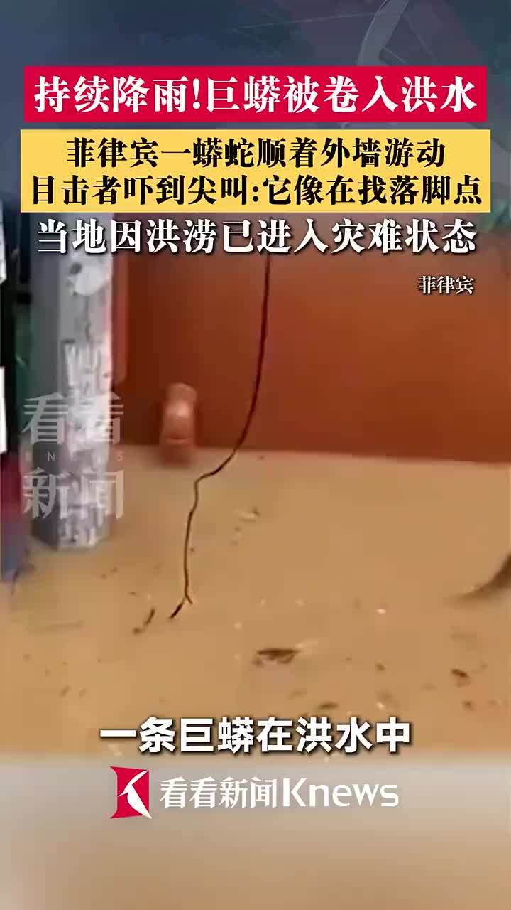 菲律宾巨蟒洪水中挨家挨户串门