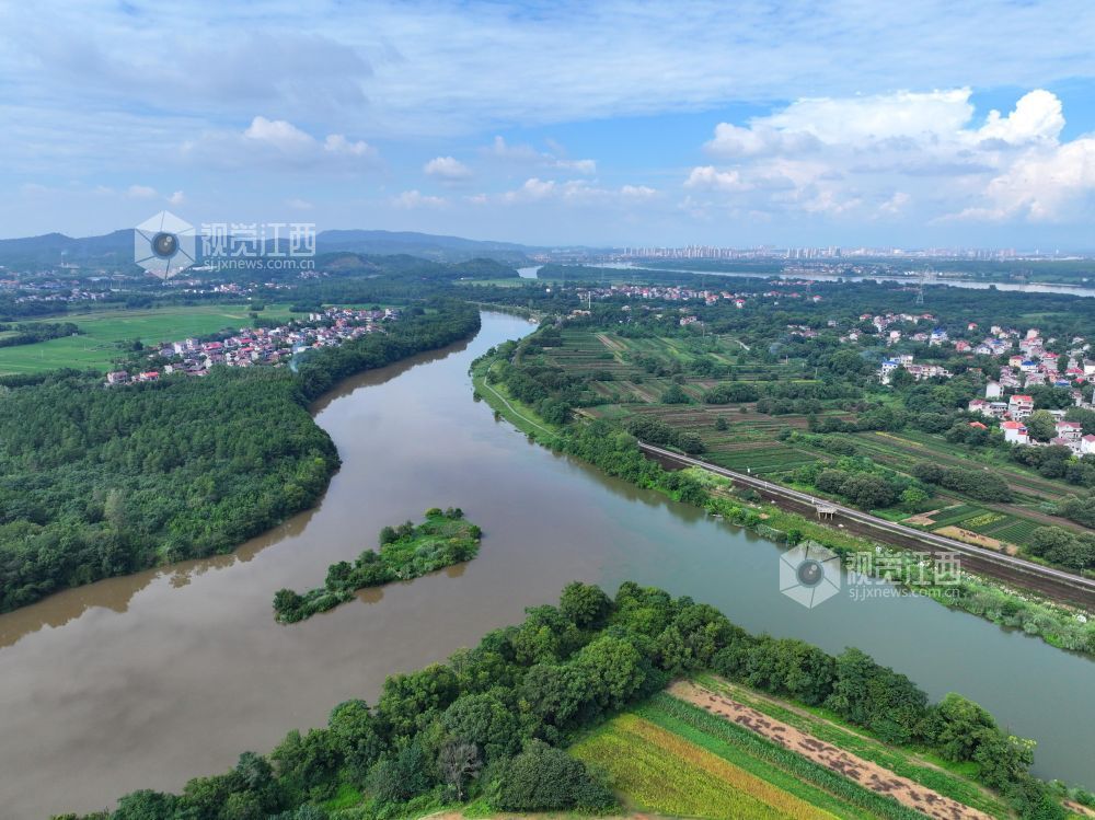 2026年8月27日,江西省吉安市泰和县马市镇蜀口村,蜀水河与赣江在此交汇,一清一浊,泾渭分明,景美如画。