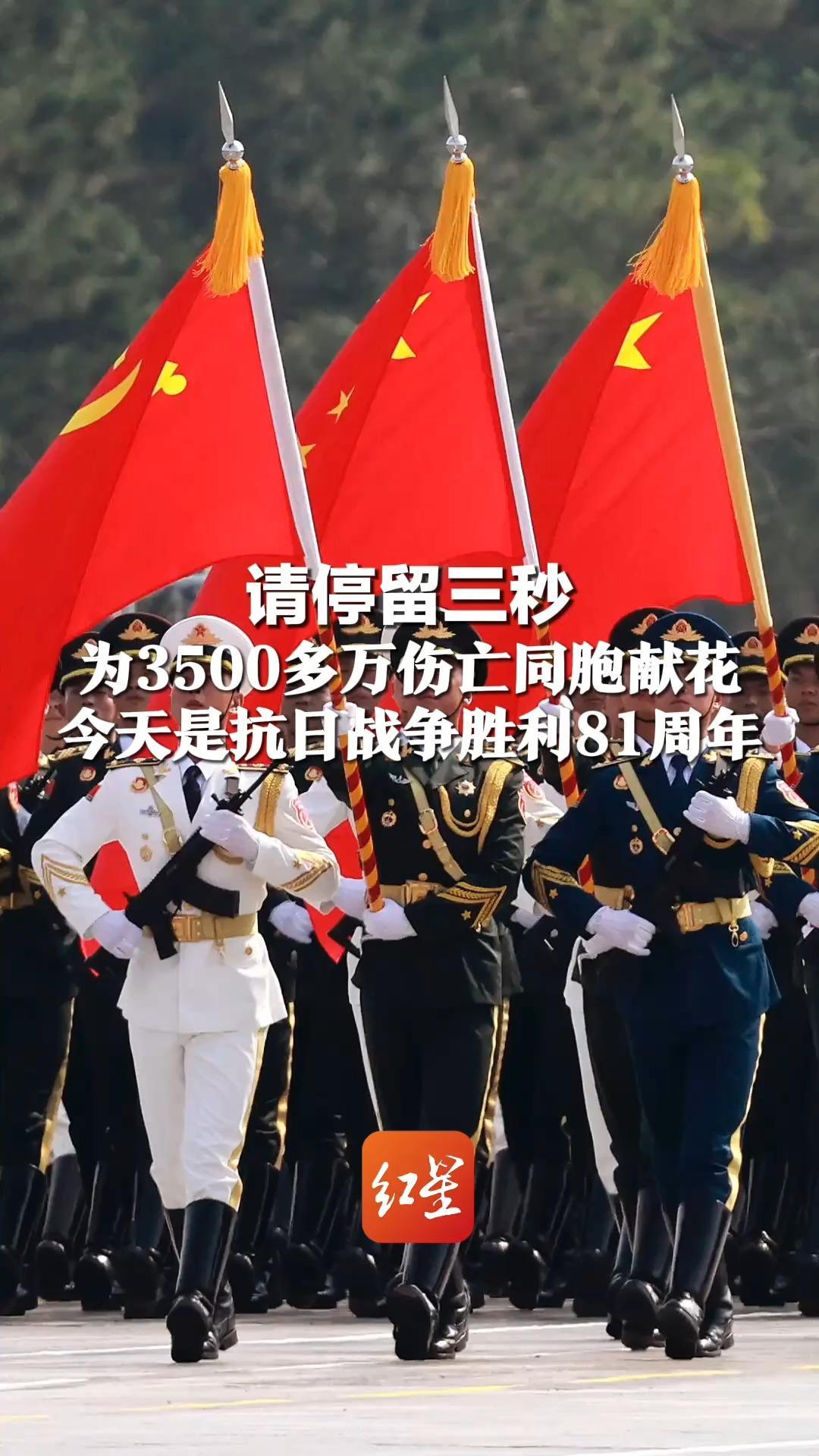 请停留三秒 为3500多万伤亡同胞献花 今天是抗日战争胜利81周年 这些数字，中国人不能忘