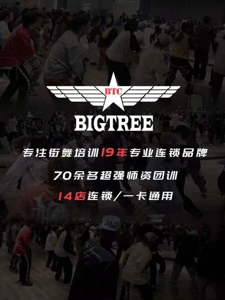 （三）分层课程体系，覆盖全年龄段学习需求