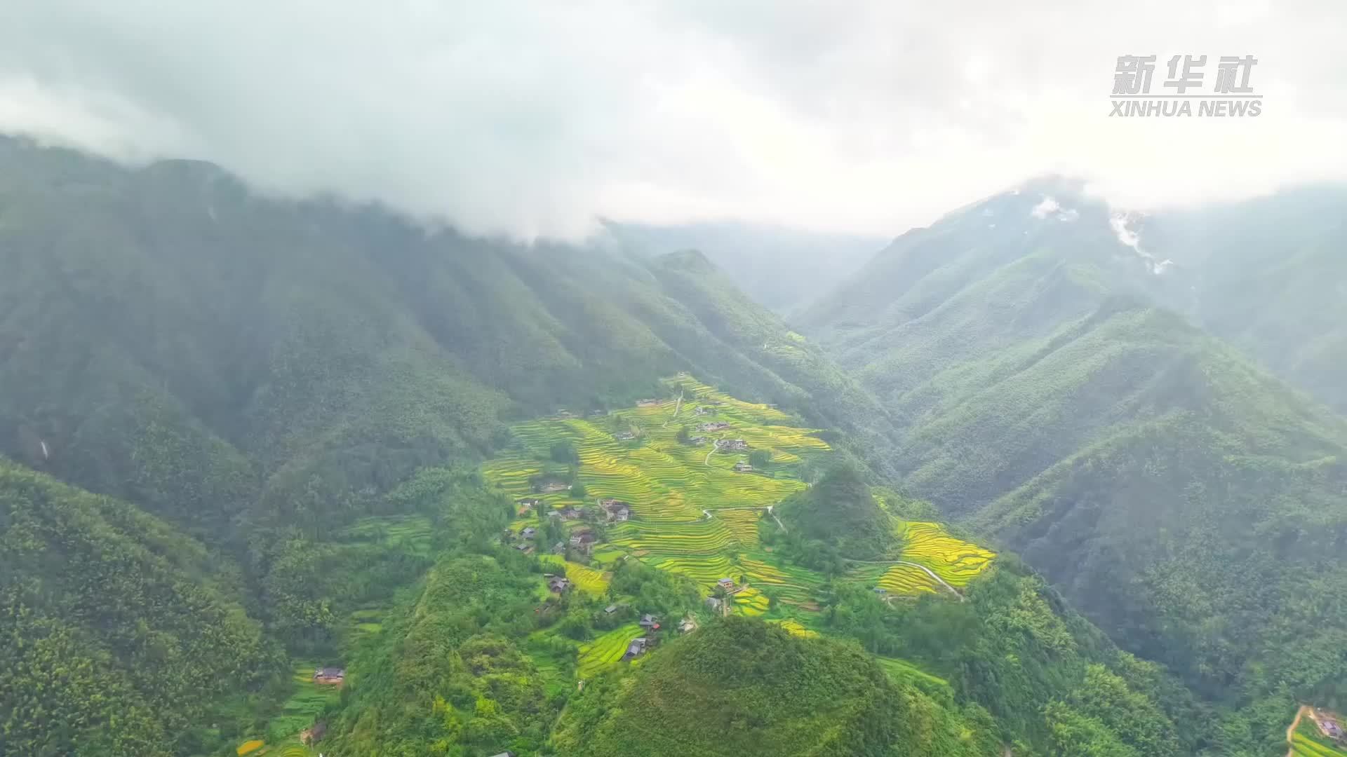 瞰中国｜湖南东安：稻浪舞动绘秋景