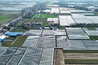 建园标杆辐射 澧县布设全域标准化之路