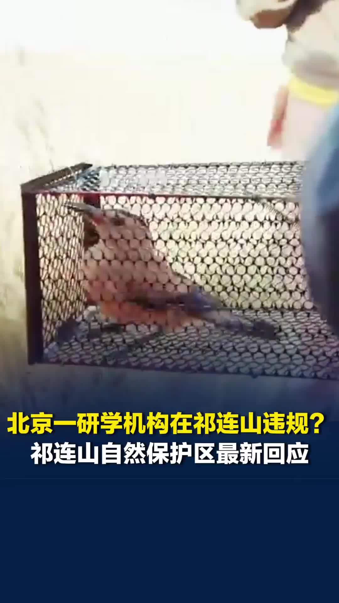 北京一研学机构在祁连山违规？祁连山国家级自然保护区最新回应