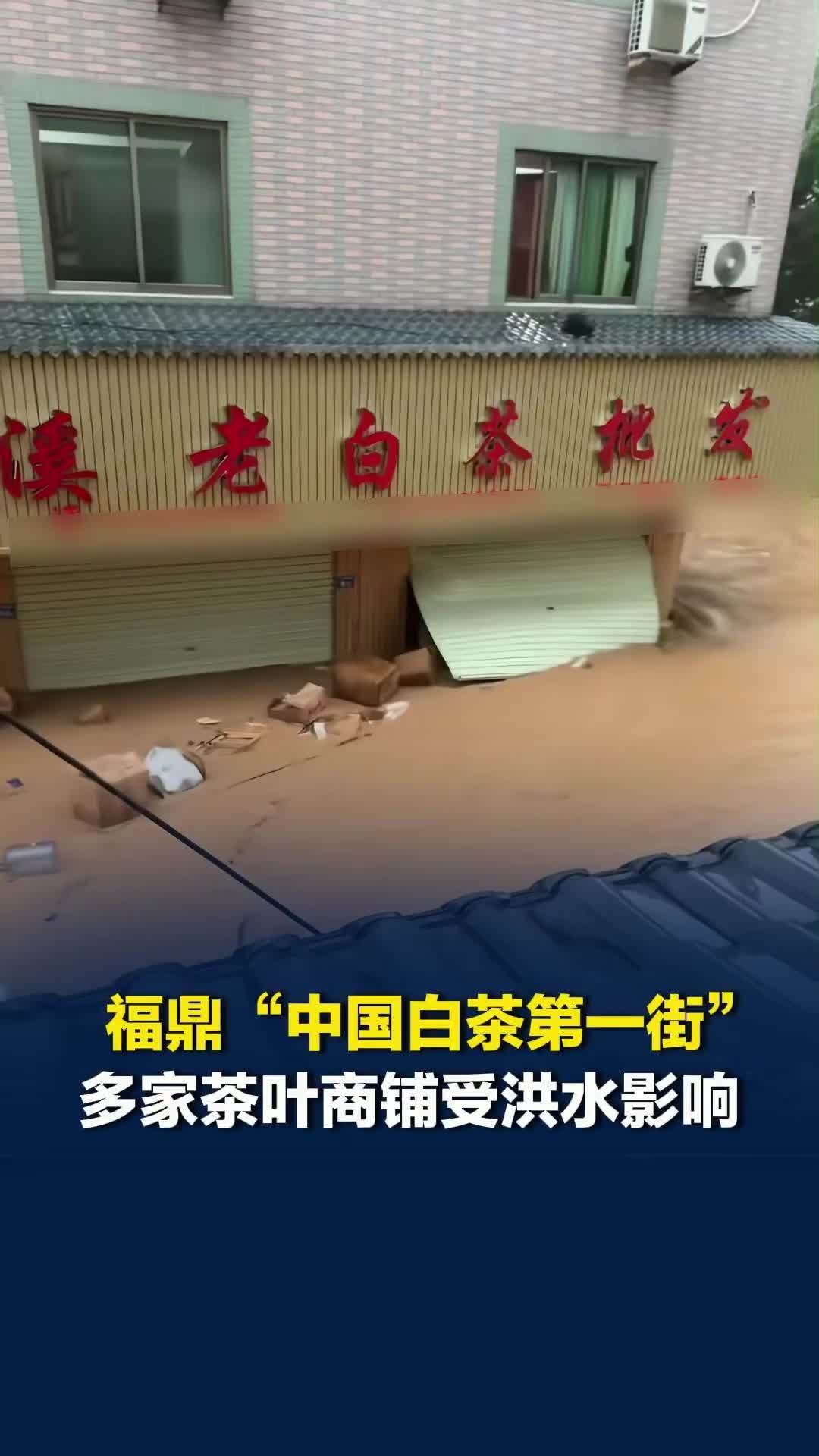 福建福鼎实行“三停一休”，点头镇“中国白茶第一街”多家茶叶商铺受洪水影响受损