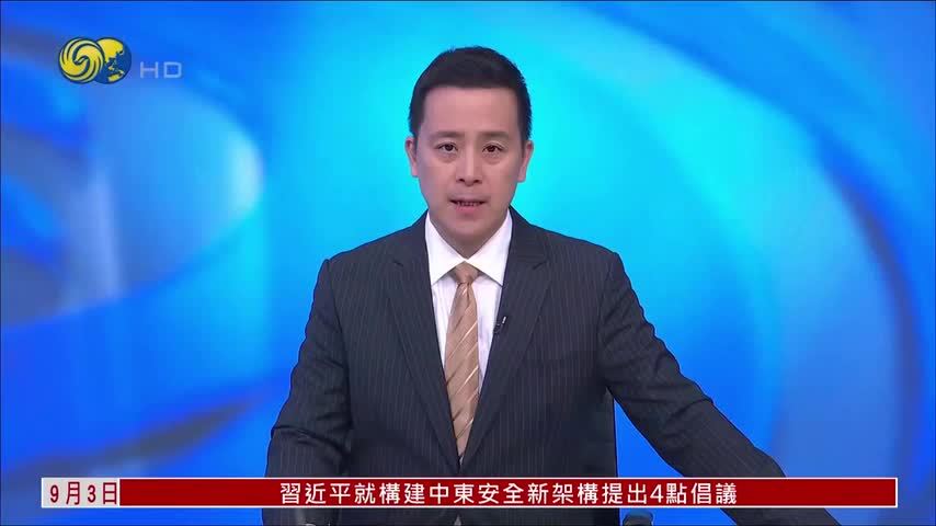 土耳其外长：麦加协议启动中东新安全联盟构建