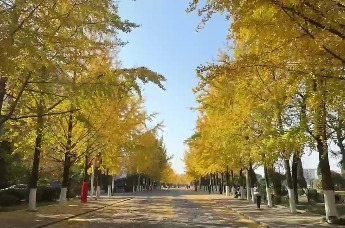 初秋的第一场旅行来六安|赓续红色记忆 畅游皖西秋景