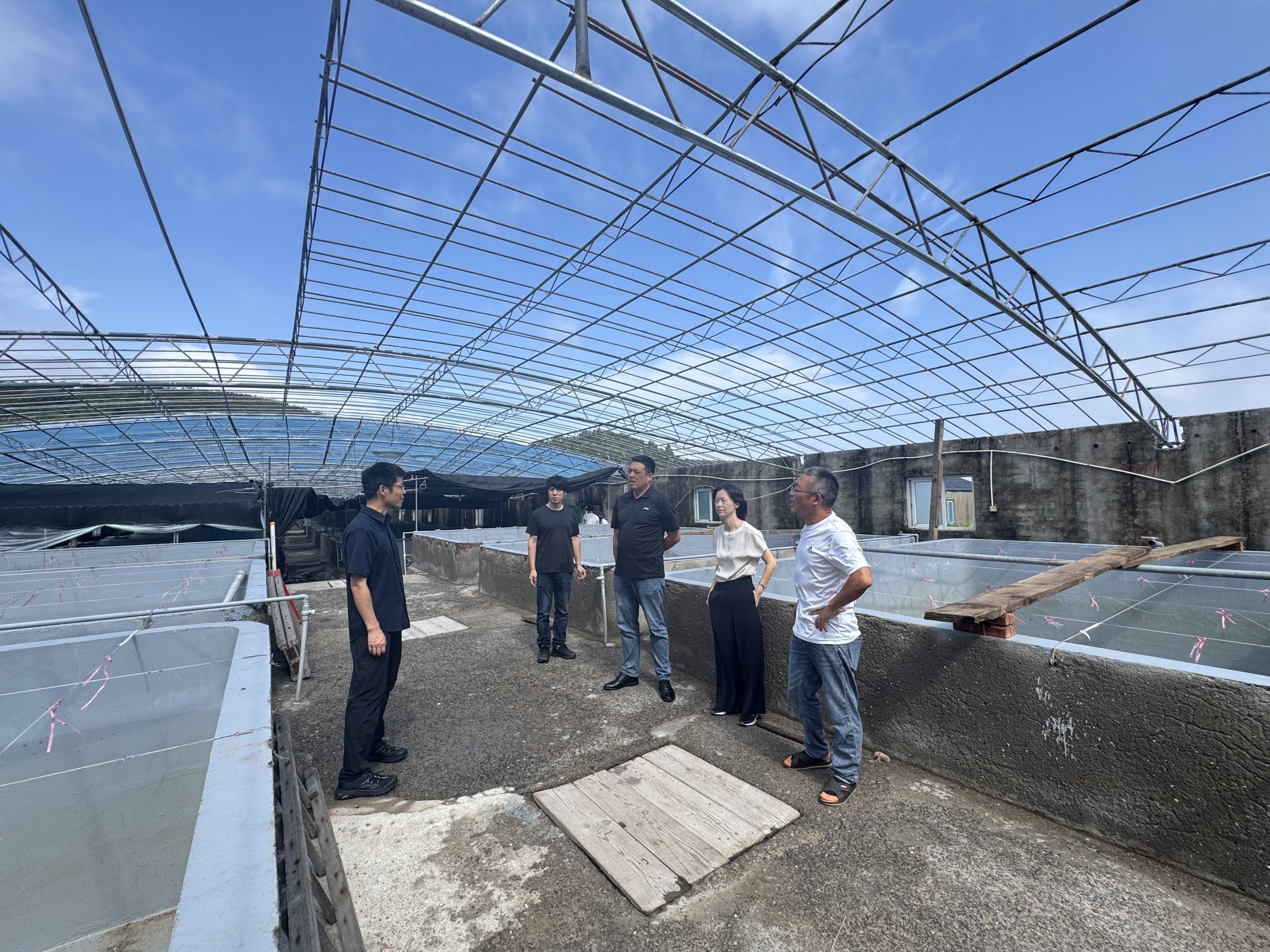 闻“风”而动 精准帮扶 市渔业主管部门积极开展台风灾后技术指导