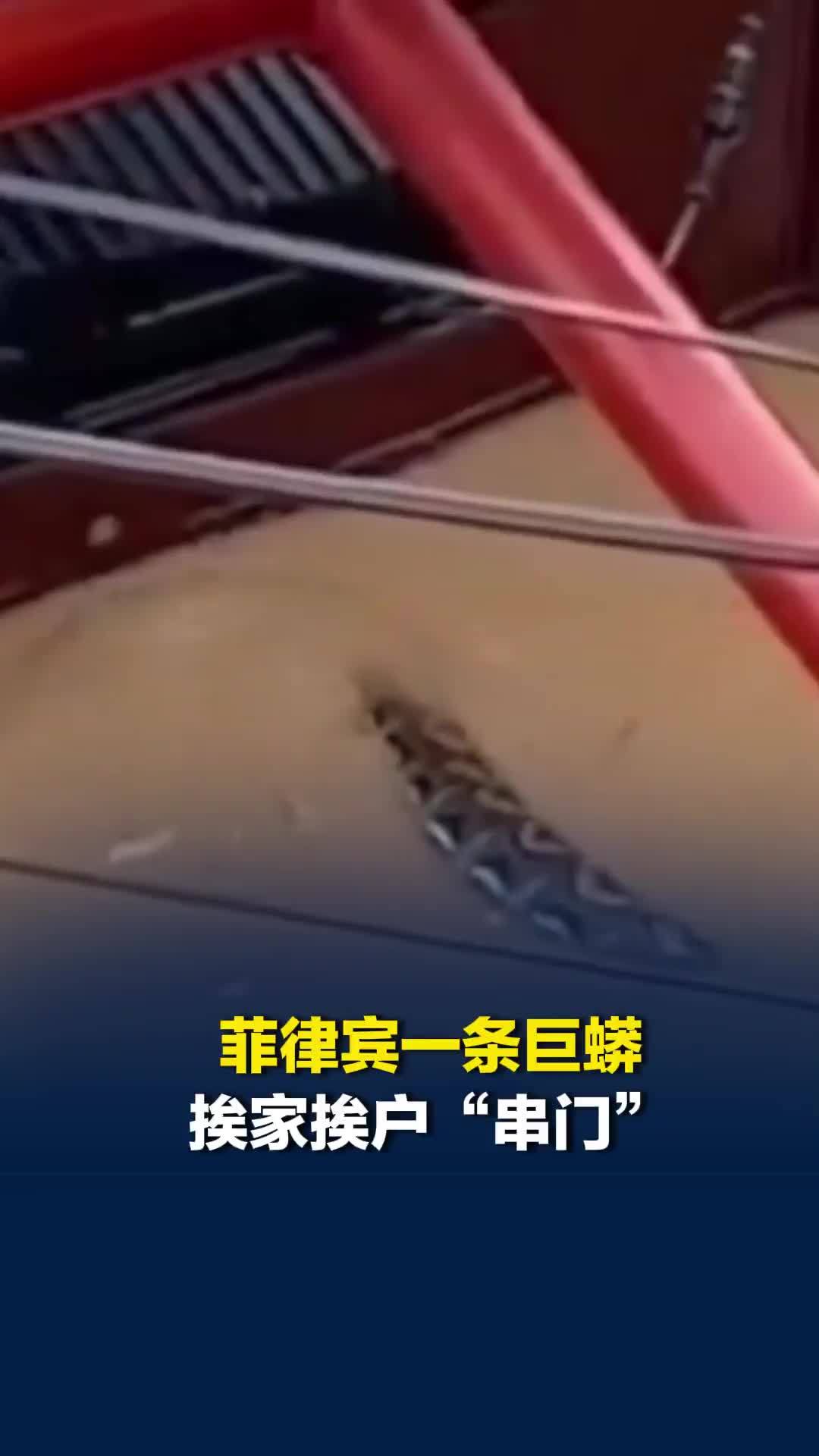 洪水惊魂：菲律宾一条巨蟒挨家挨户“串门”，居民恐慌尖叫退上高处