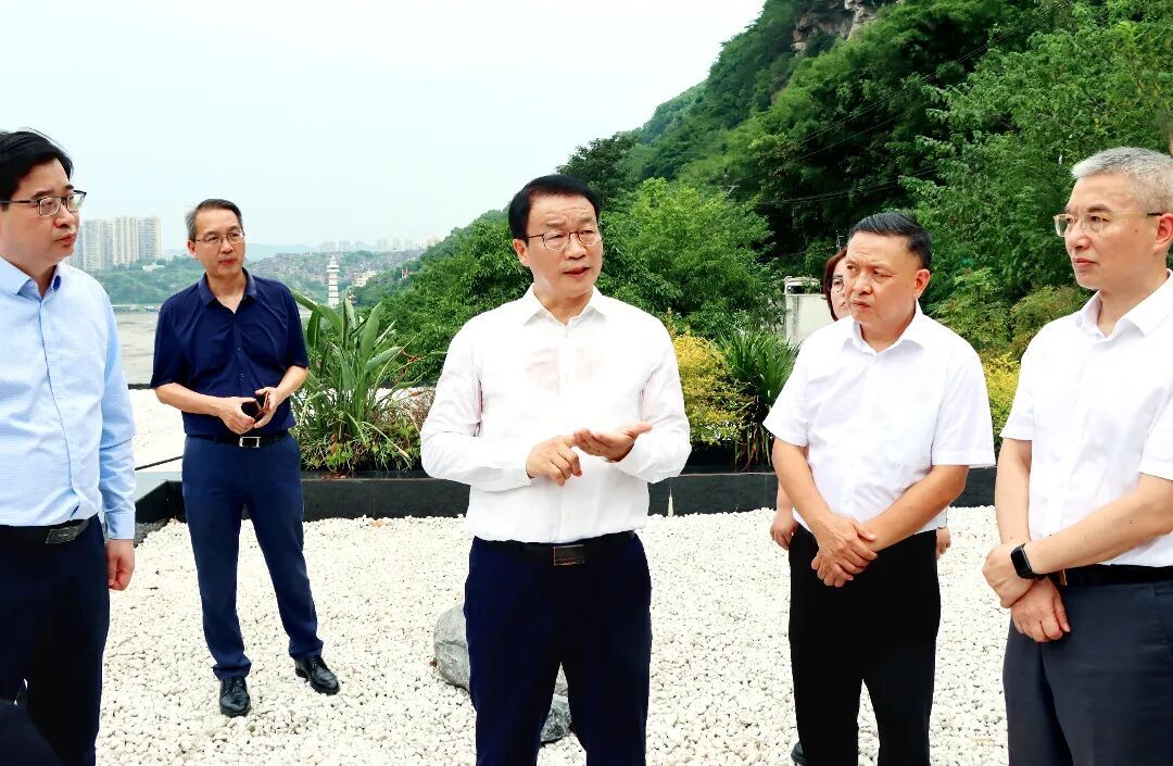 调研组在两江新区郭家沱街道唐郭路危岩带检查监督。.jpg