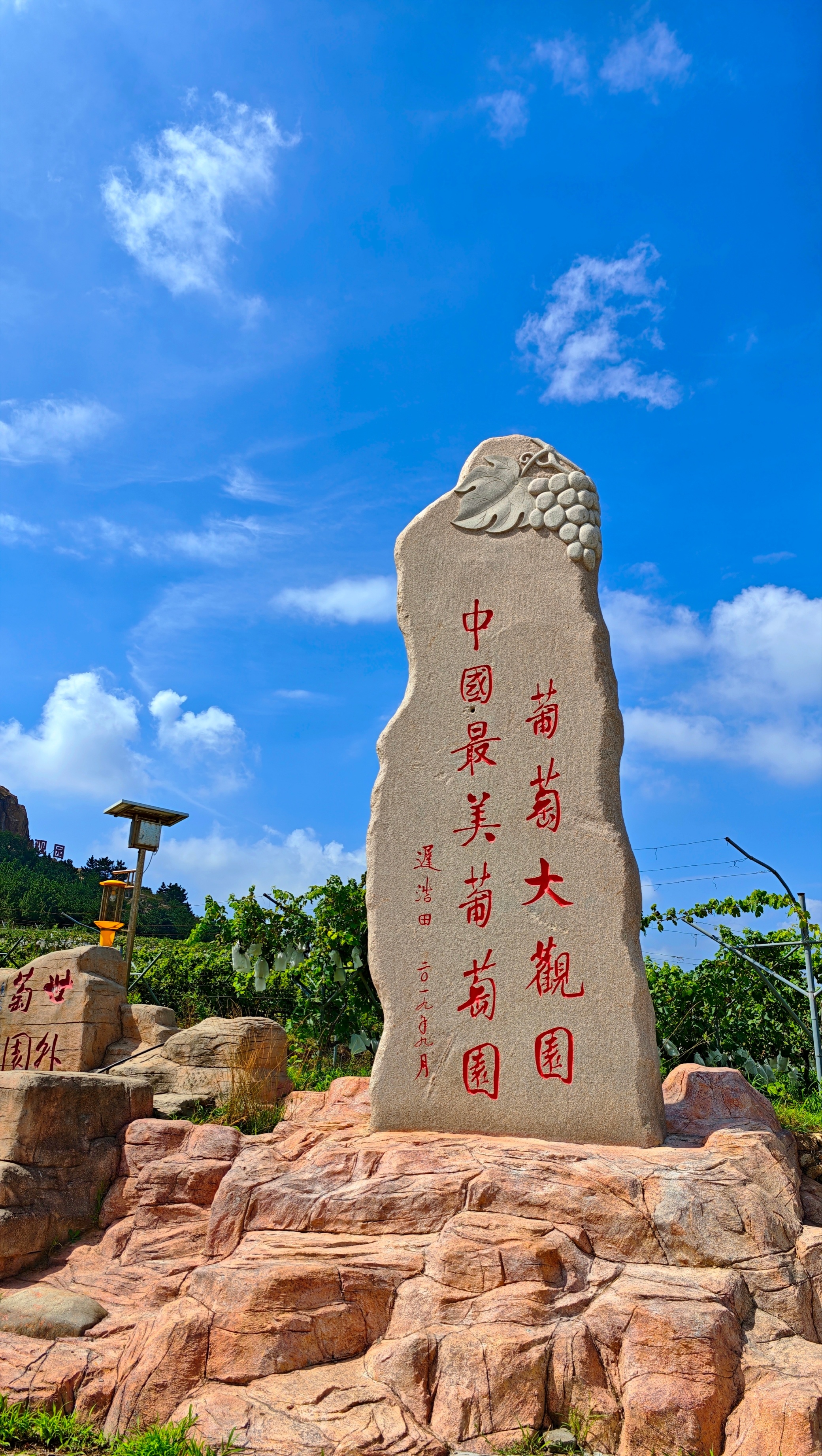 一个品牌,四十年富民交响——大泽山葡萄产业品牌觉醒与价值跃升之路
