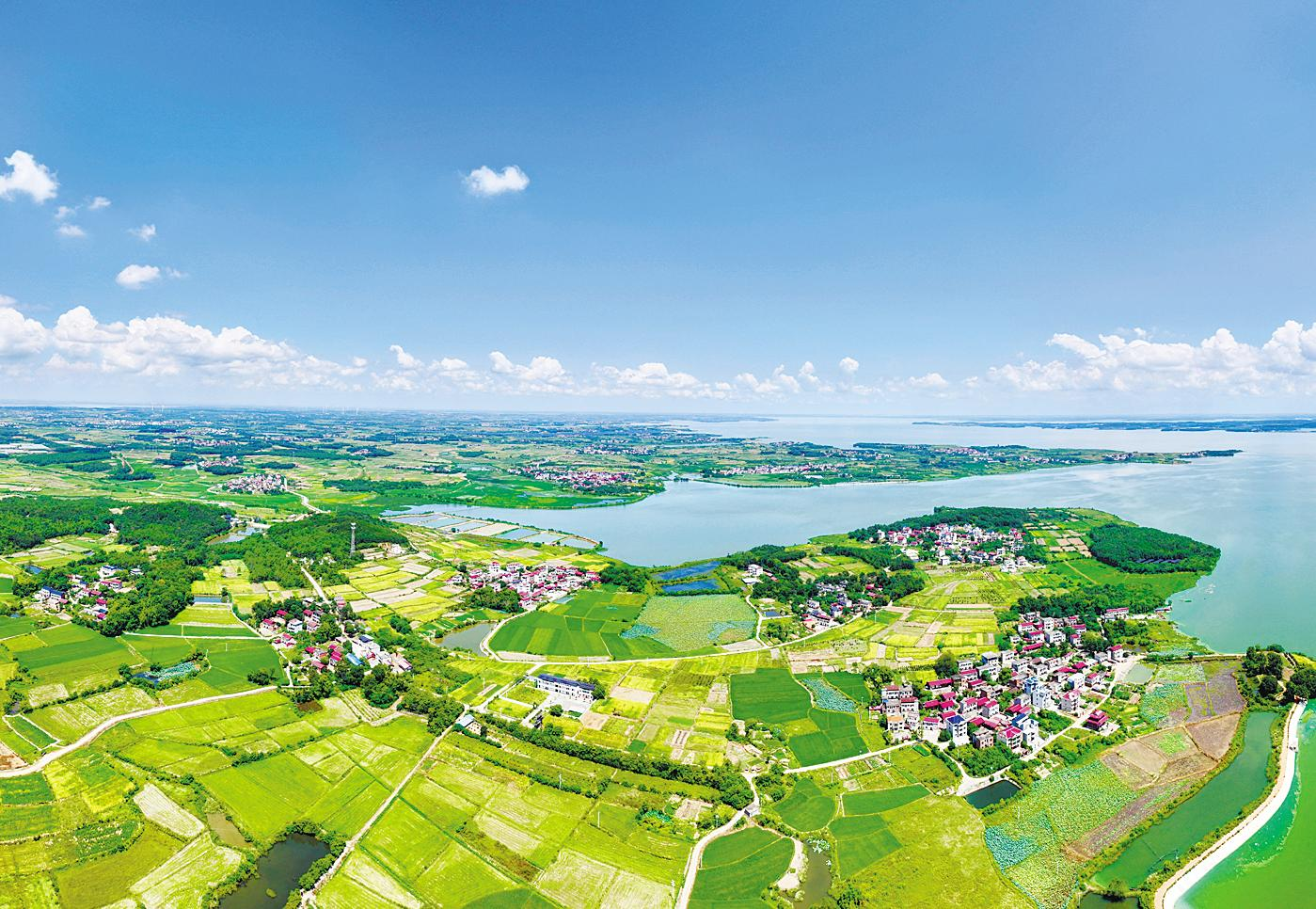 进贤青岚湖畔：碧波荡漾 景色宜人（图）