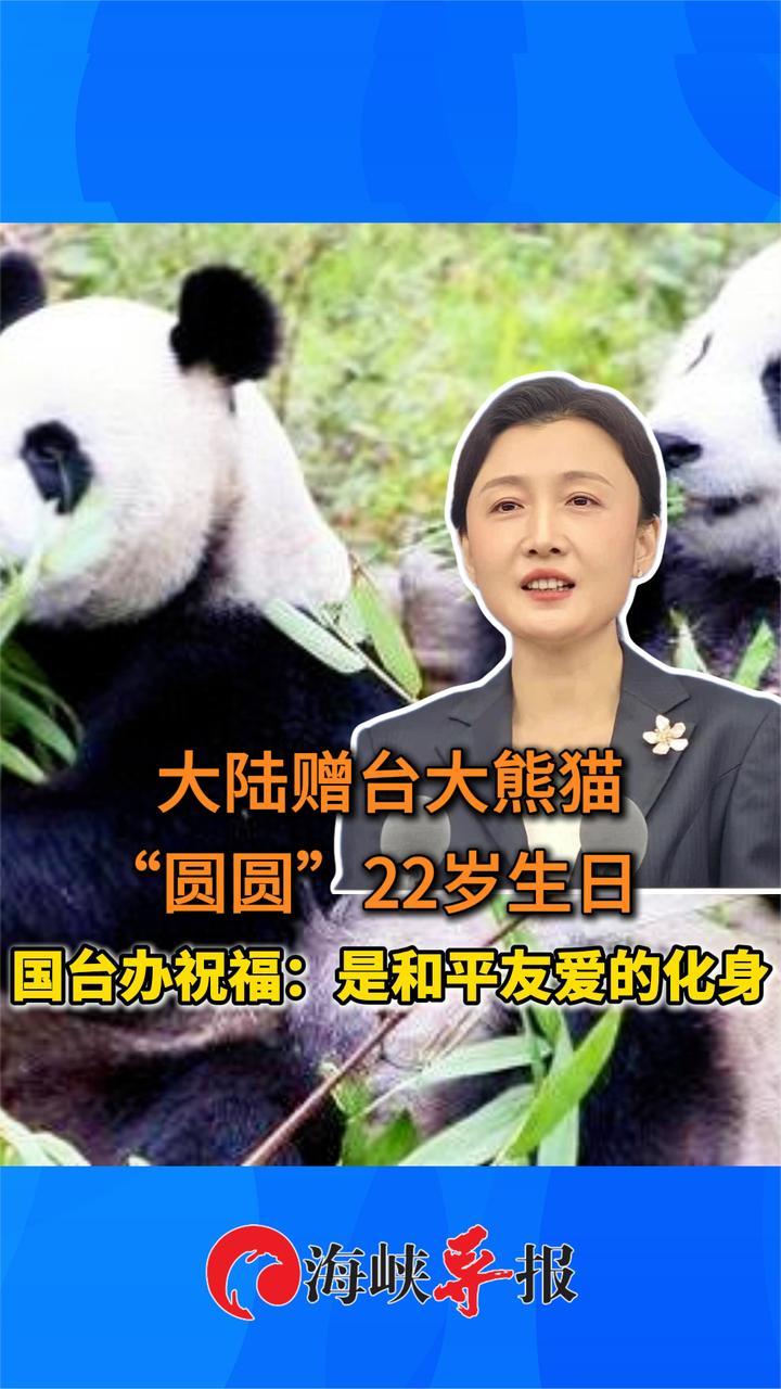 大陆赠台大熊猫“圆圆”22岁生日，国台办祝福：是和平友爱的化身