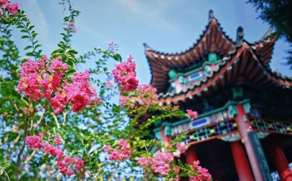 夏花未谢秋正好，大明湖得月亭繁花似锦