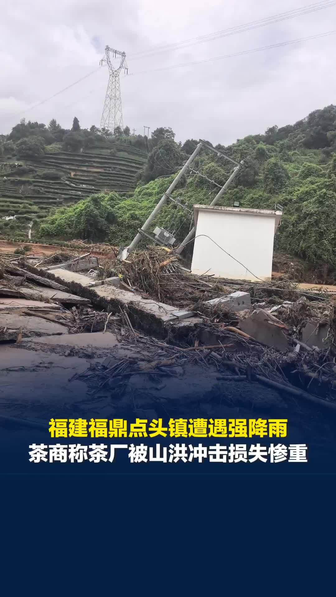 福建福鼎点头镇遭遇强降雨，茶商称茶厂被山洪冲击损失惨重，数十年的投入付诸东流