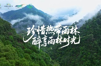 2026年“雨林与您”体验活动来了 | 珍惜热带雨林 醉享雨林时光