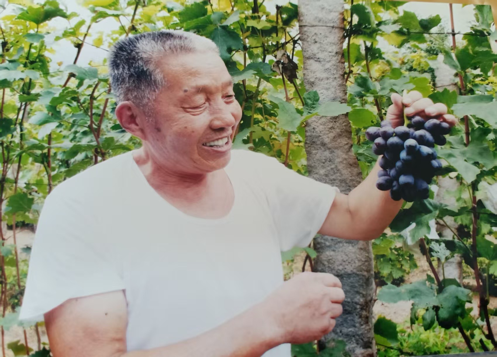 果农高中杰