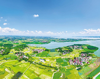 进贤青岚湖畔：碧波荡漾 景色宜人