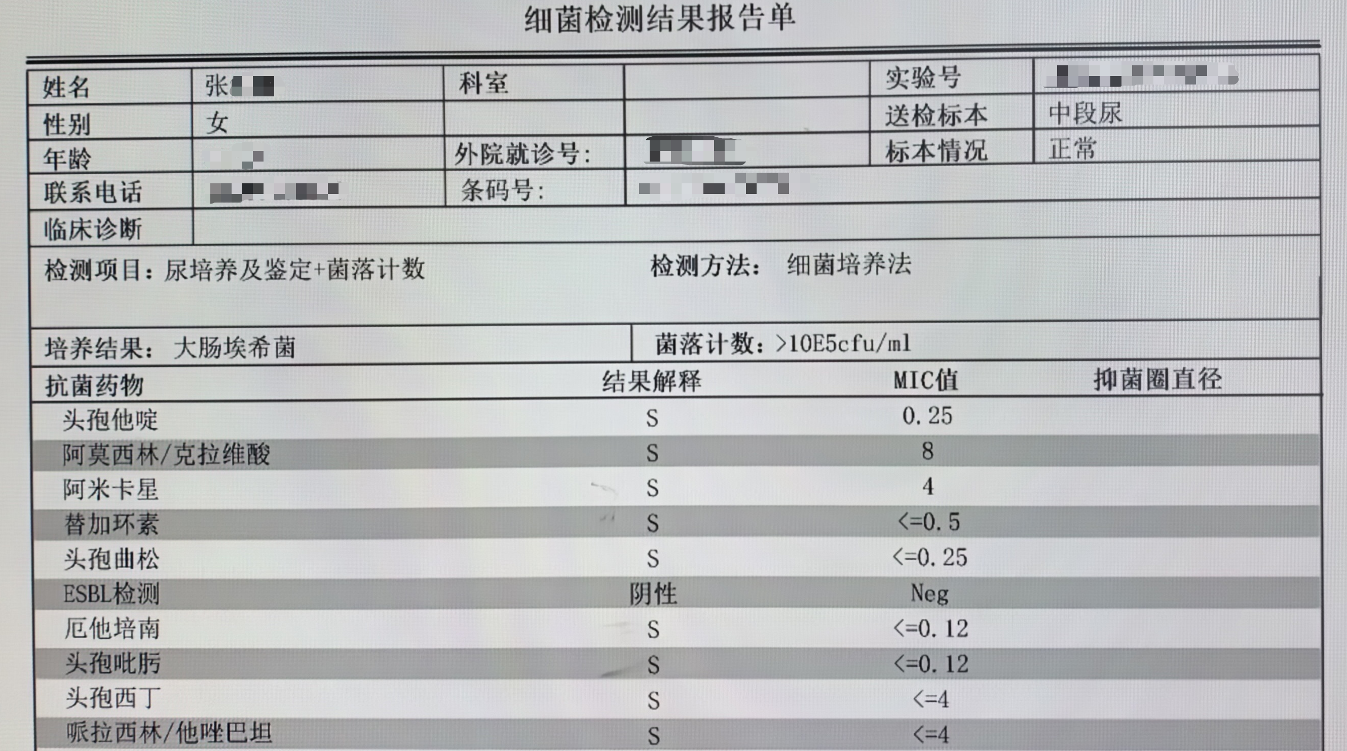 细菌培养和药敏结果