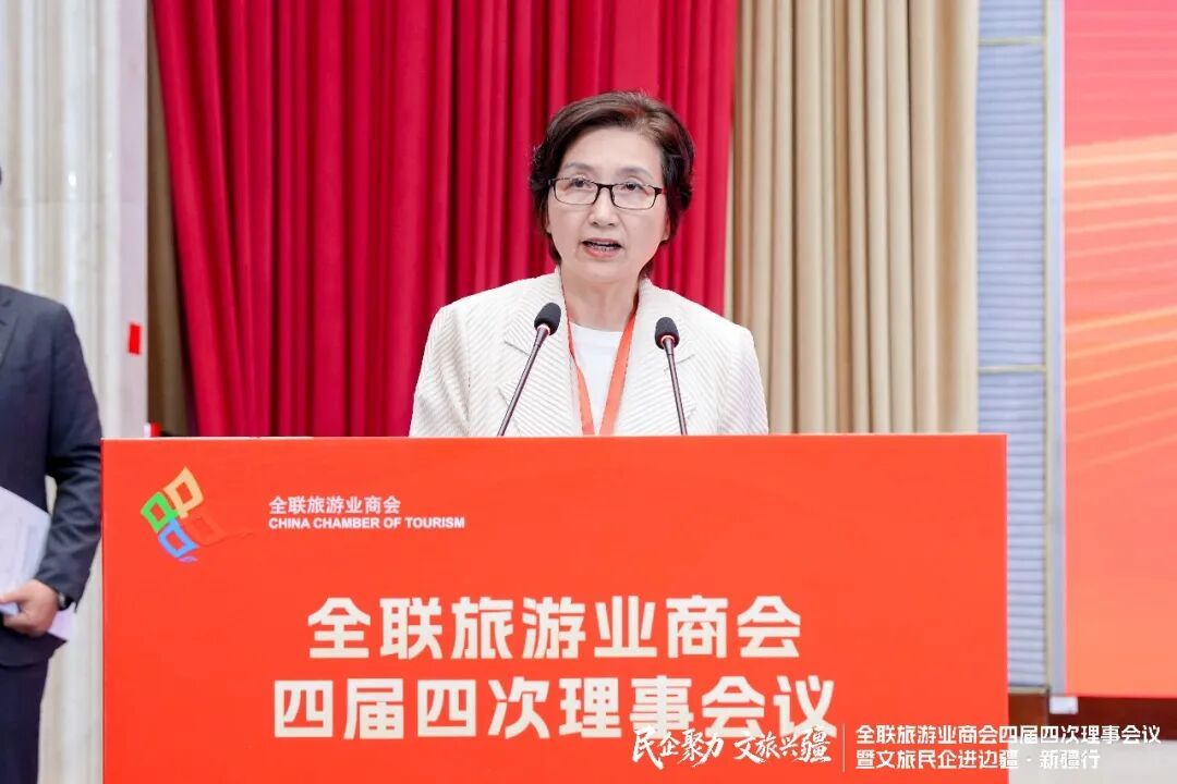 朱晓东副会长介绍《分支机构改革工作方案(草案)》