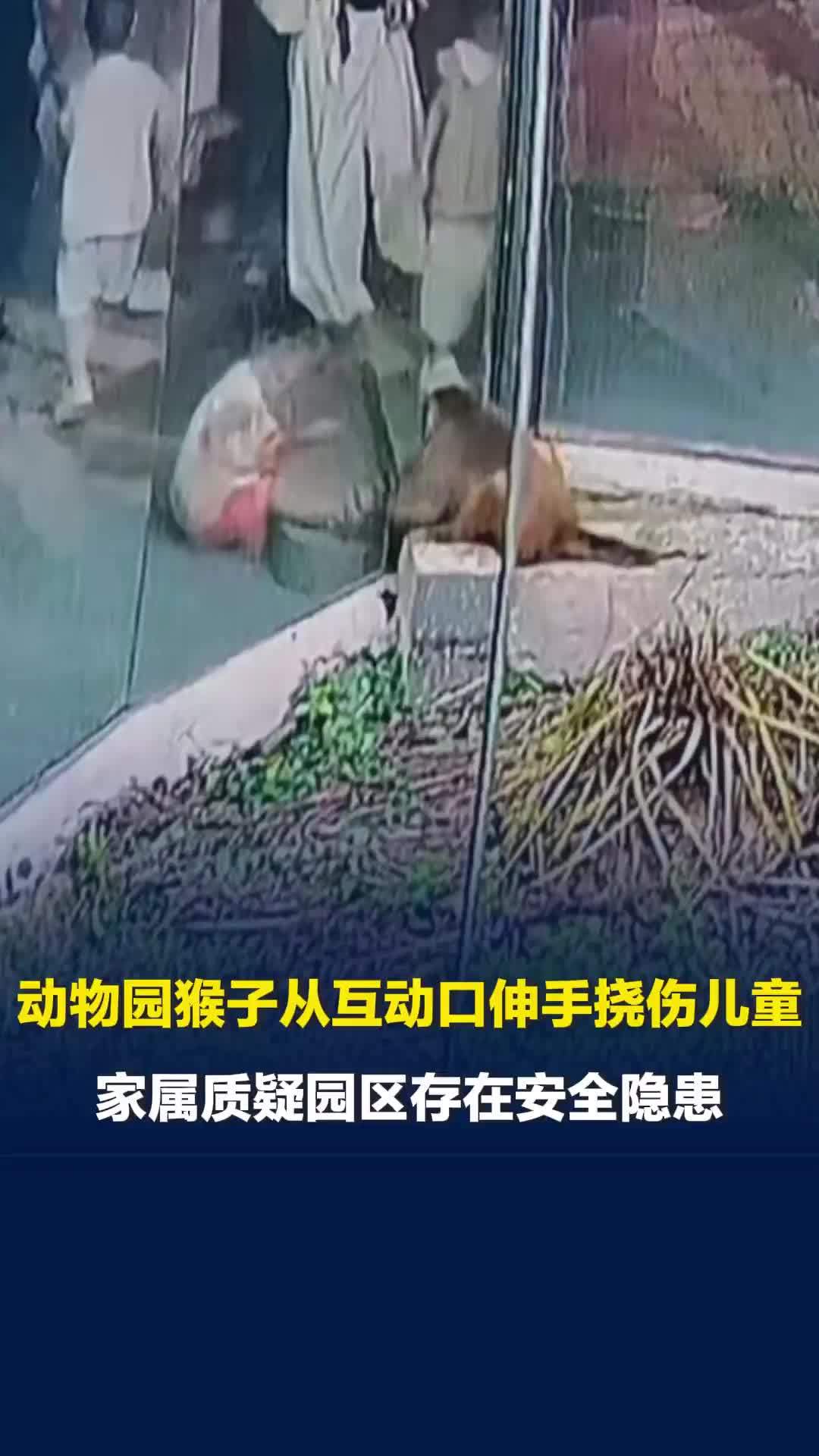 动物园猴子从互动口伸手挠伤儿童，家属质疑园区存在安全隐患
