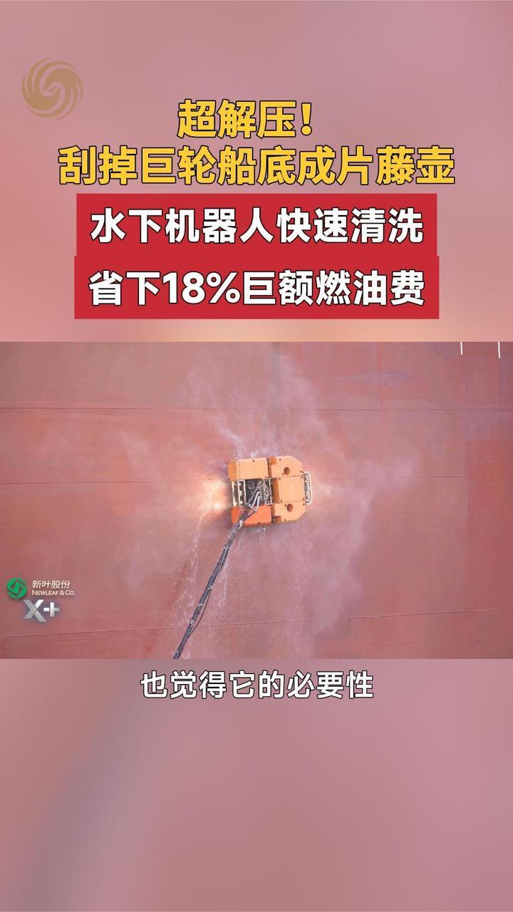 探访纳百机器人基地，海生物危害增加能耗，船舶清洗的重要性
