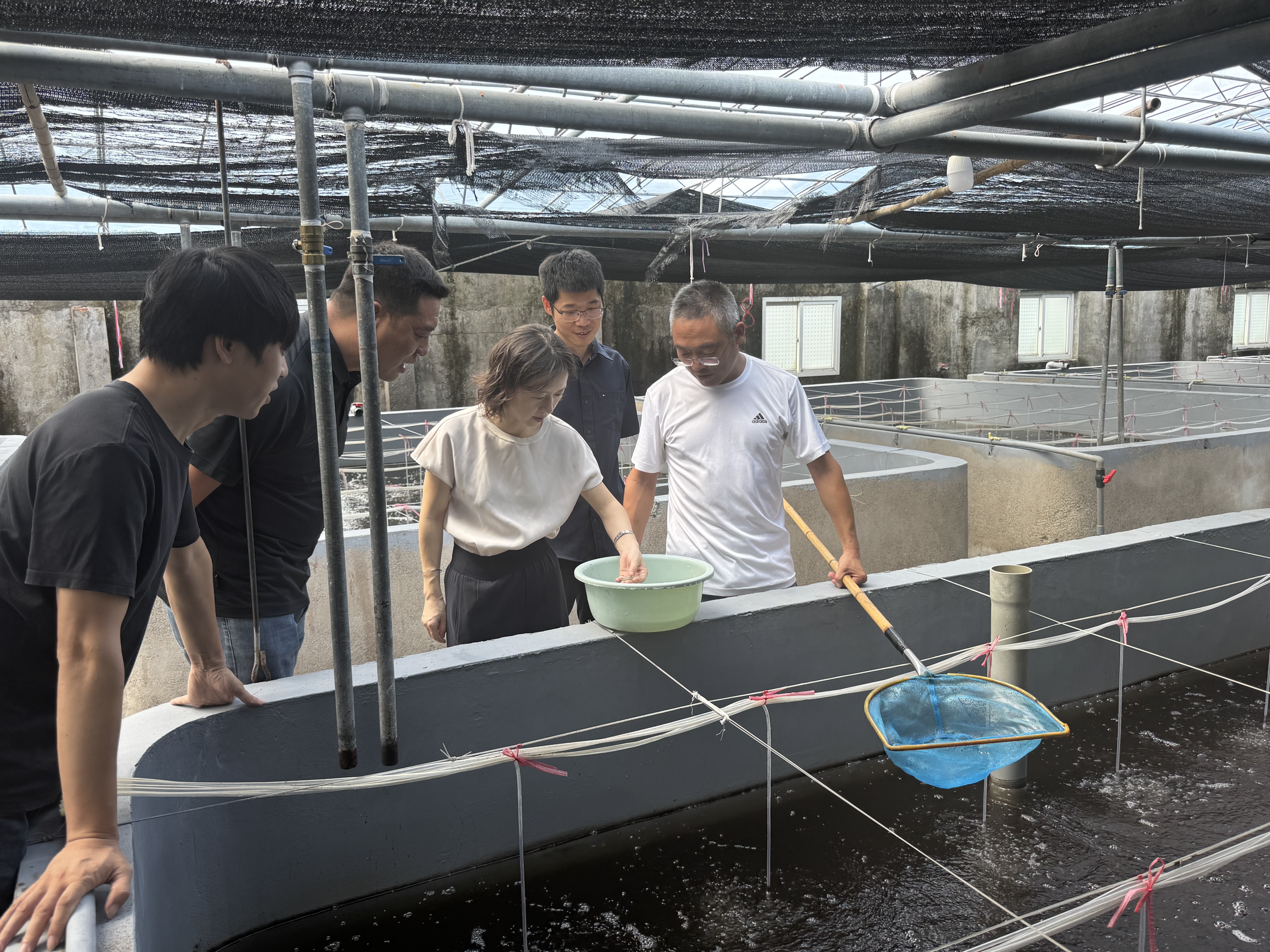 闻“风”而动 精准帮扶 市渔业主管部门积极开展台风灾后技术指导