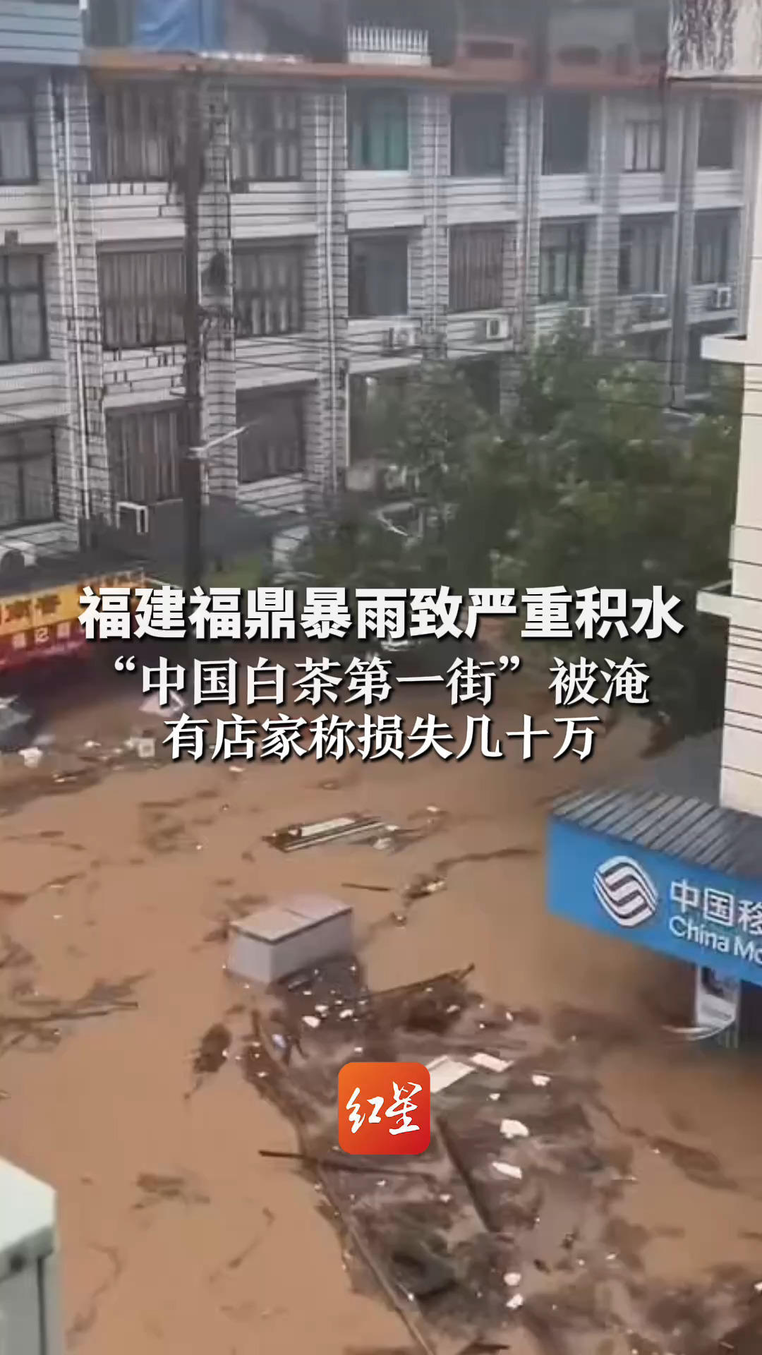 福建福鼎暴雨致严重积水“中国白茶第一街”被淹 有店家称损失几十万 镇政府：正全力施救 损失待统计