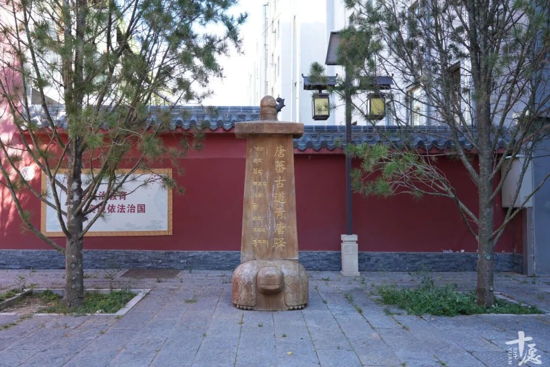 DSC04266.JPG
