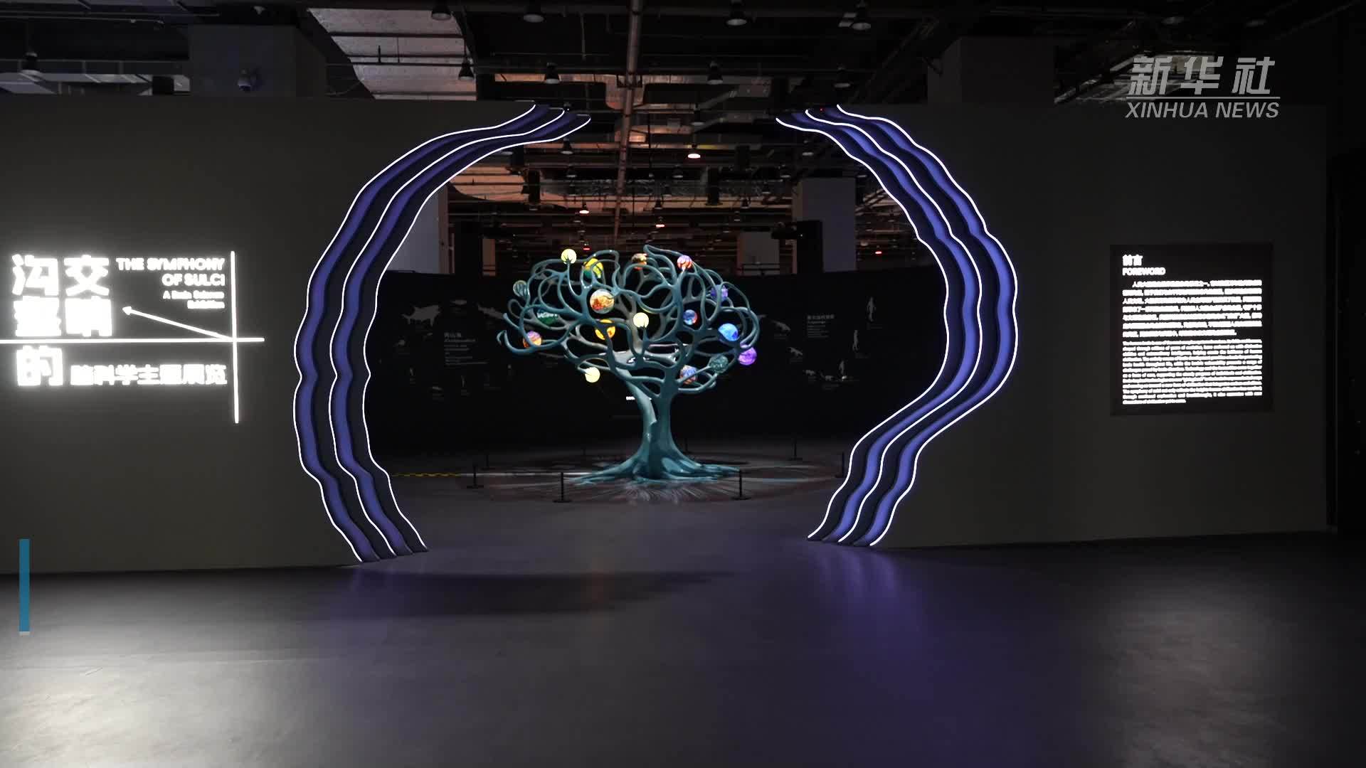 中国科技馆推出脑科学主题展览
