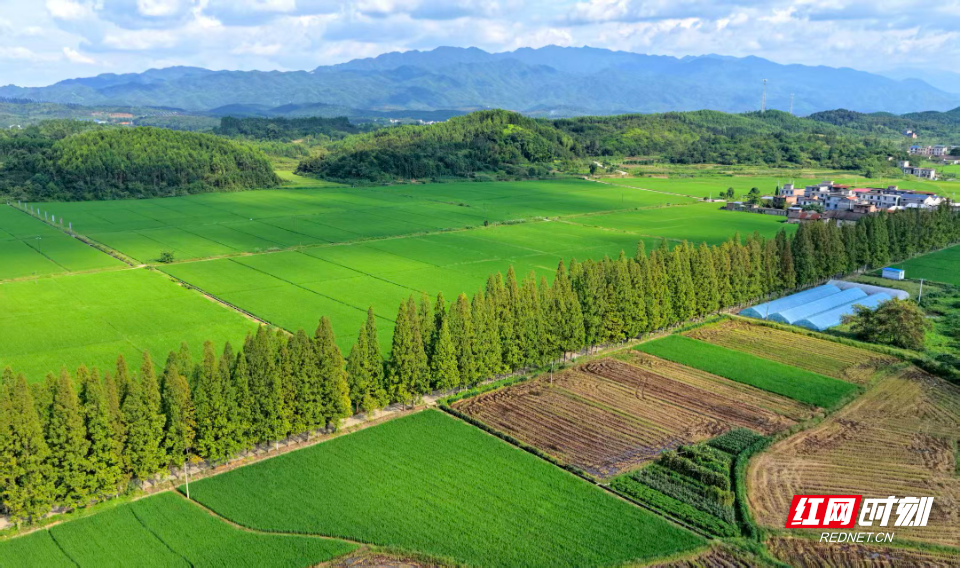 种种美景绘成乡村生态画卷。