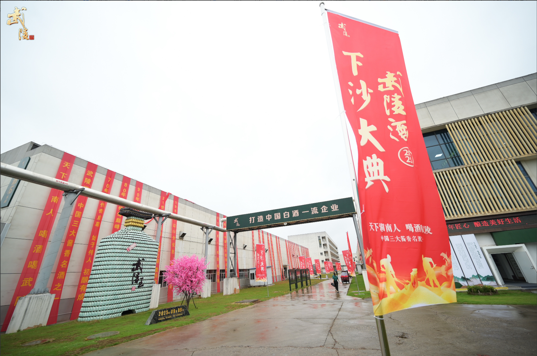 万吨红粱即将入仓 武陵酒2026年下沙大典蓄势待发
