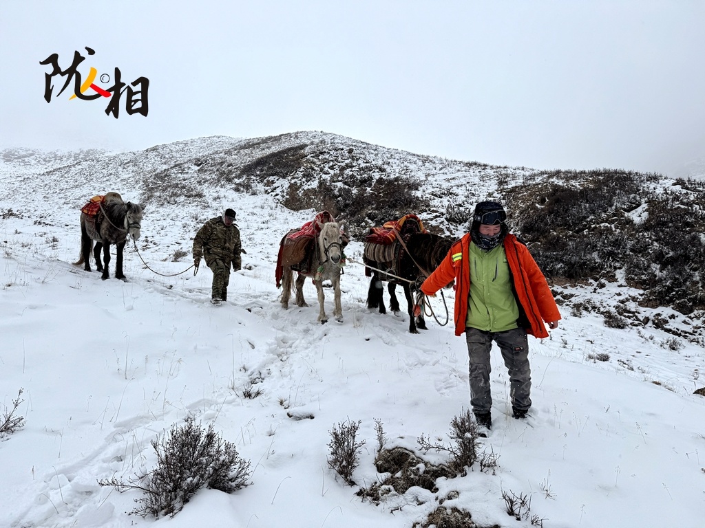 雪天巡护　张鹏/摄