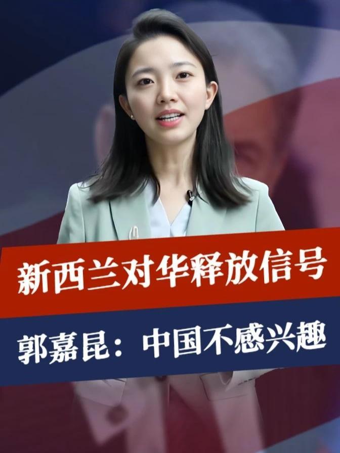 中新再突发重大事情，新西兰对华释放信号，郭嘉昆：中国不感兴趣#零基础看懂全球 #全球创作者计划