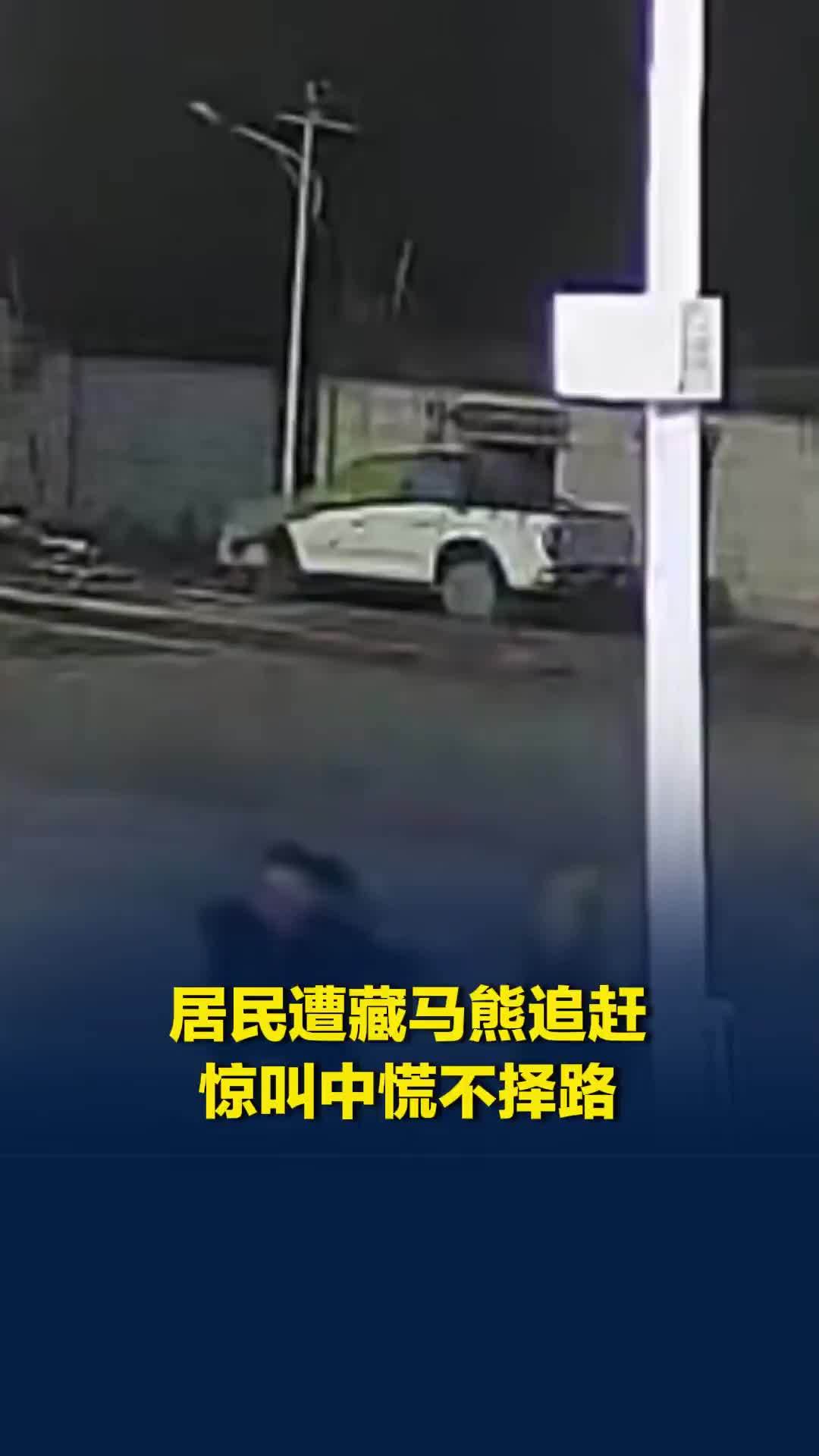 居民遭藏马熊追赶，惊叫中慌不择路，监控拍下一人一熊几乎贴身