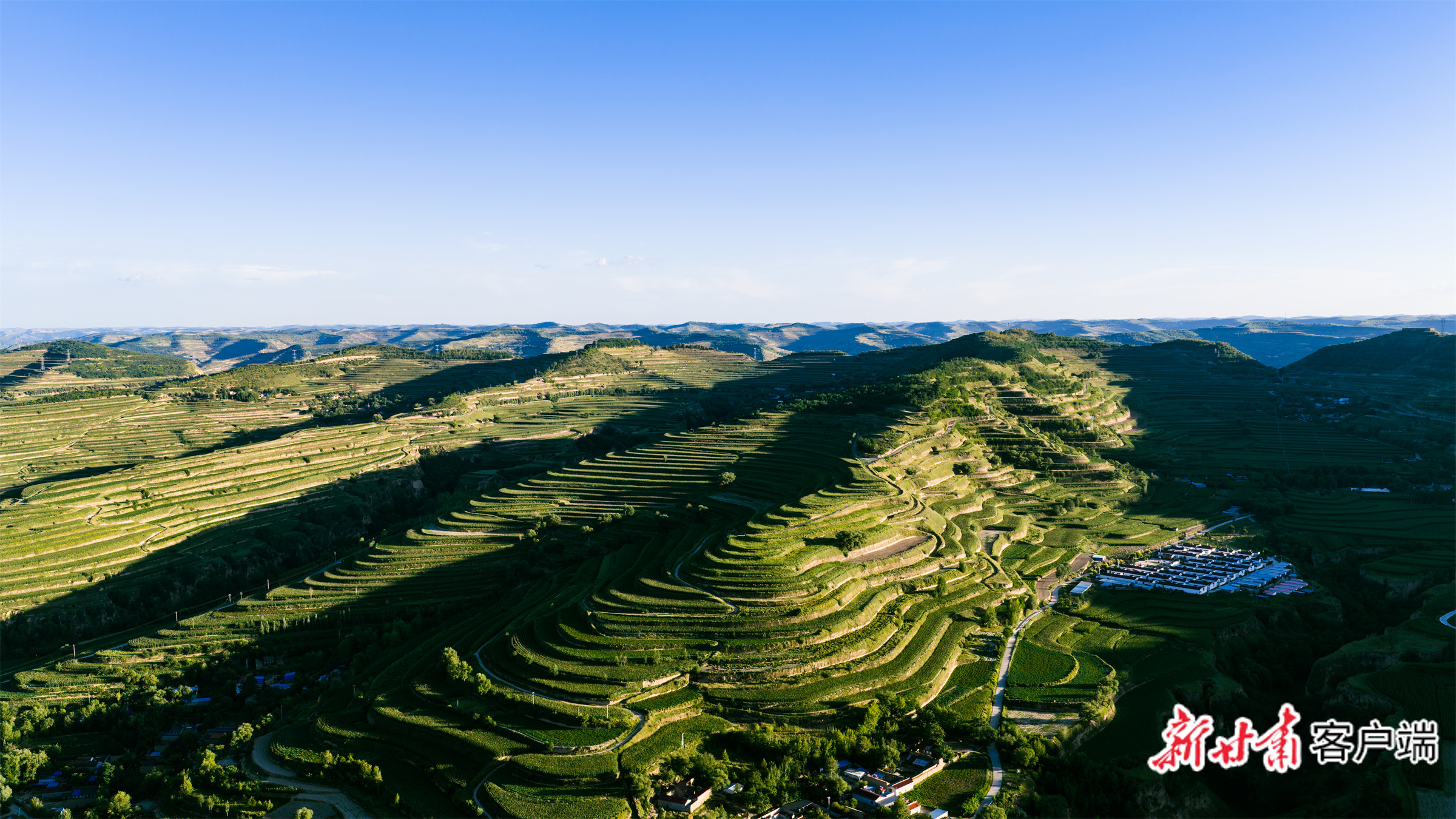 静宁县玉米单产提升示范基地 本文图片均由新甘肃·甘肃日报记者冯宝强摄