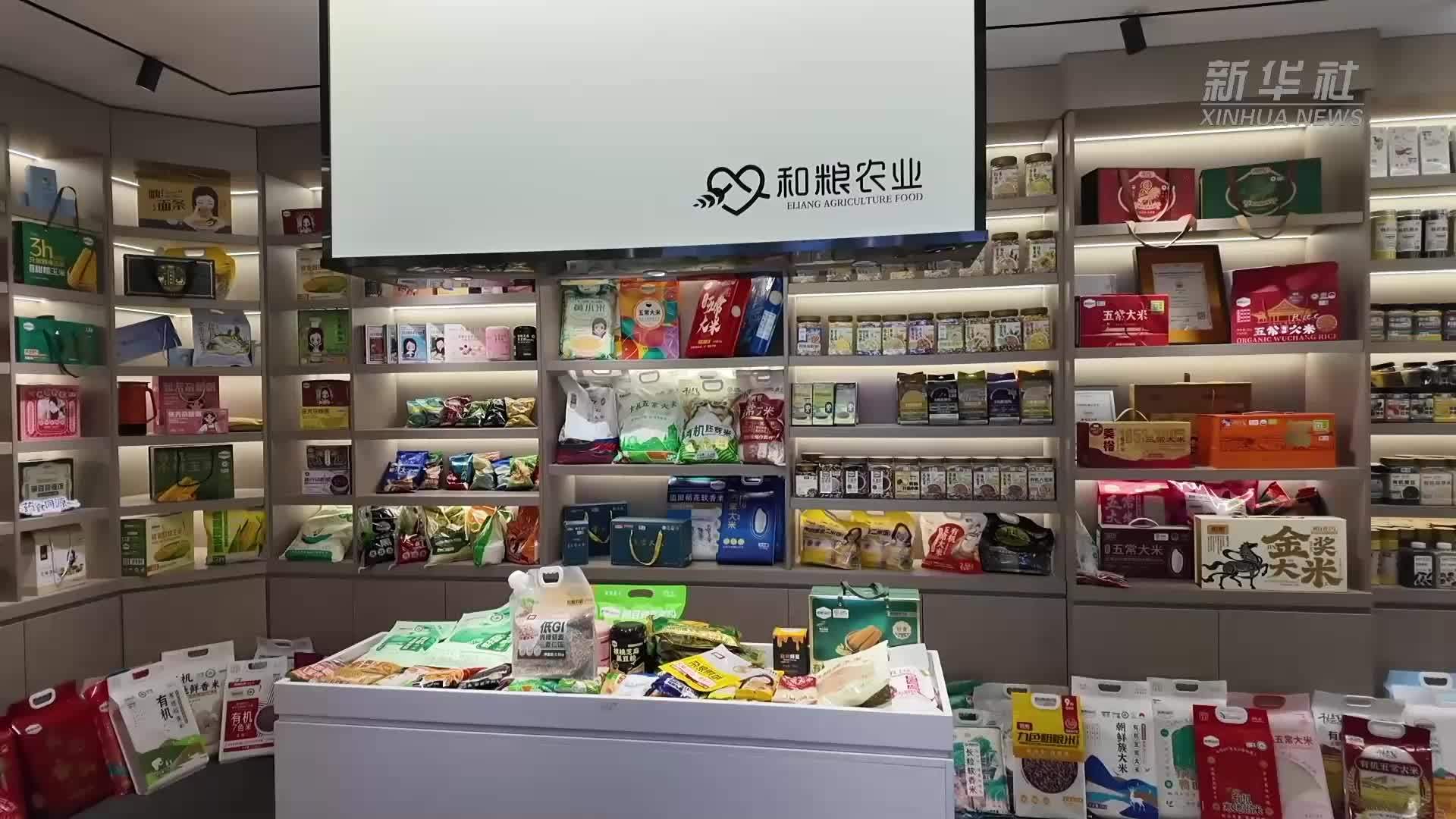 活力中国调研行｜走进和粮农业 遇见“五谷”丰登