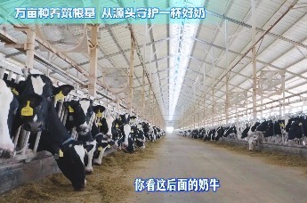“活力中国调研行”深度探访得益乳业：解锁得益鲜境鲜牛奶、得益畅润酸牛奶、得益优麦酸牛奶三大明星产品不可复制的品质密码