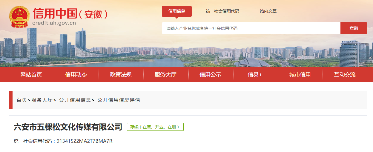 安徽一企业因侵犯著作权人的发行权等被处罚!