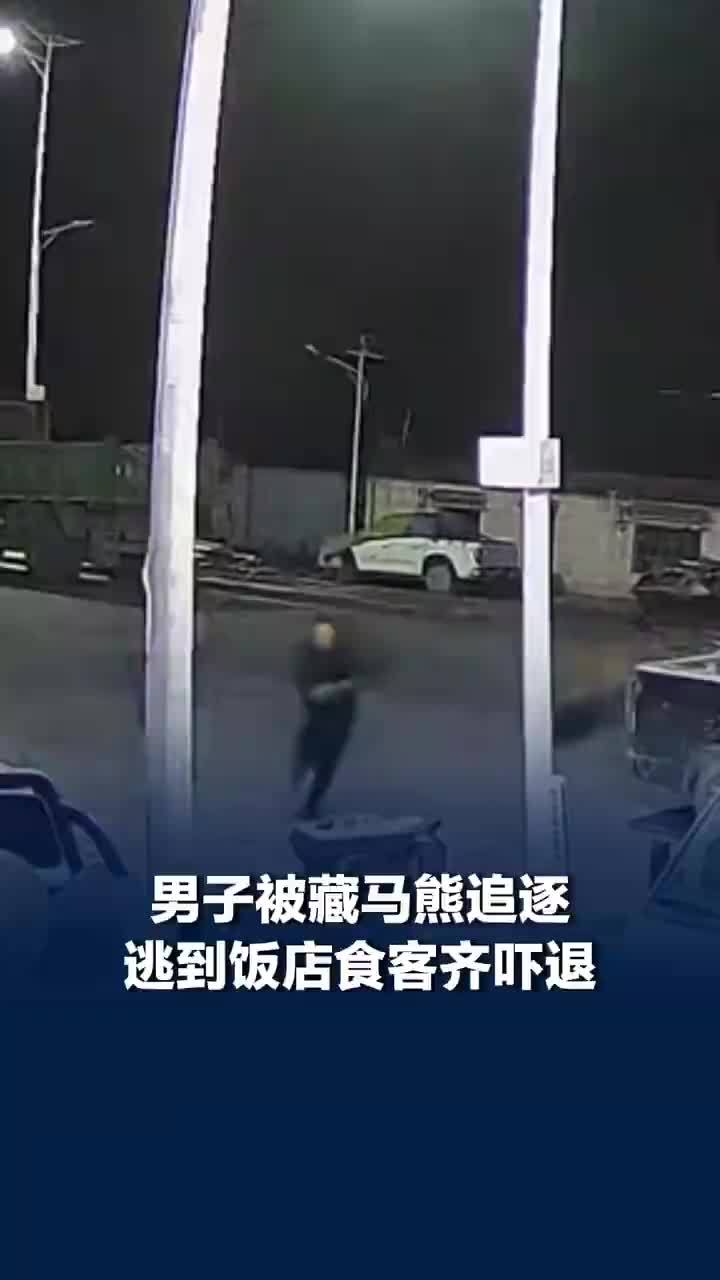 男子被追逃到饭店食客吓退藏马熊，饭店老板：母熊护幼崽，男子跑到小熊边上去了