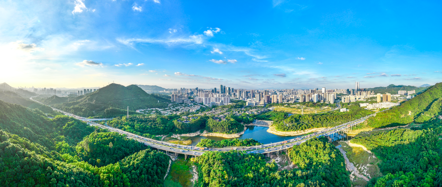 凤凰观察|从“过路地”到“目的地”:龙华何以让人停留?