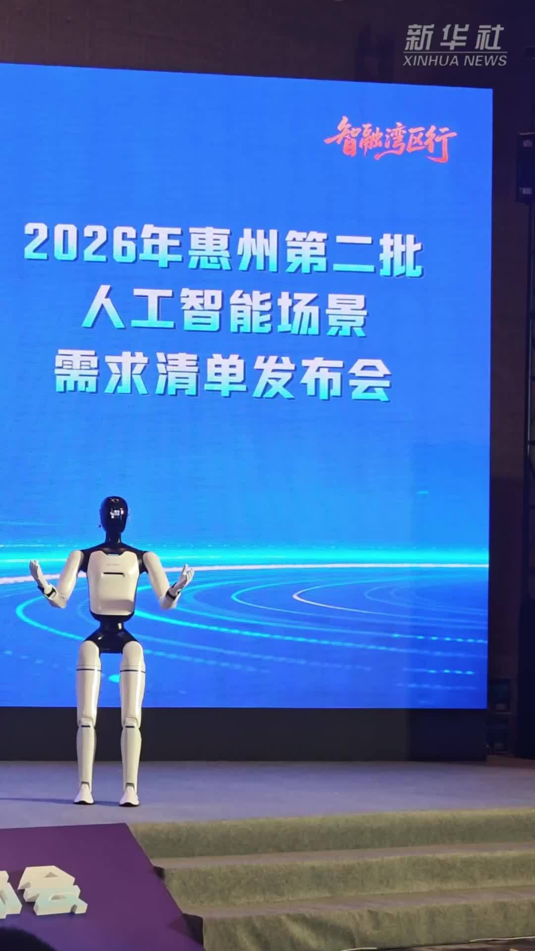 惠州发布2026年第二批人工智能场景需求清单