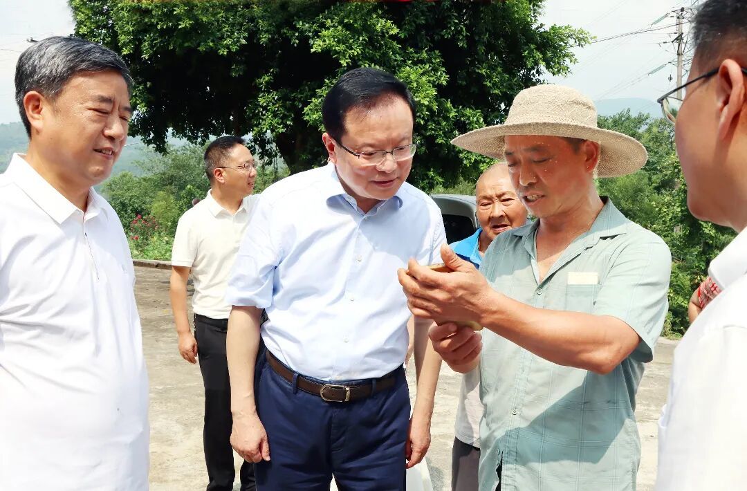 调研组在涪陵区白涛街道柏林村坳坪危岩地灾点检查监督。.jpg