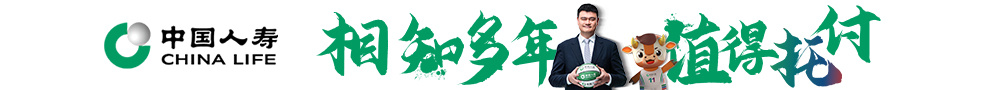 中国人寿