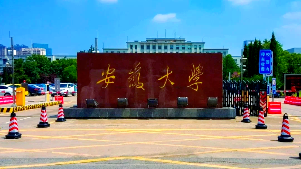 武大举报事件男方为安徽大学副校长
