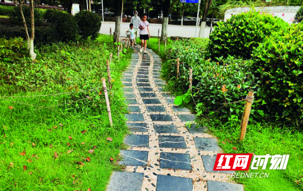 邵阳大祥区西苑公园改造后的步道(图/黄得志)