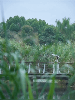 西安岁时记|白露饮秋茶 偷得半日闲