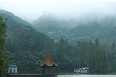 从出行不便到说走就走，庐山旅游持续爆火的底气是啥?